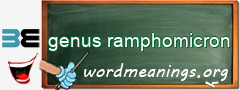 WordMeaning blackboard for genus ramphomicron